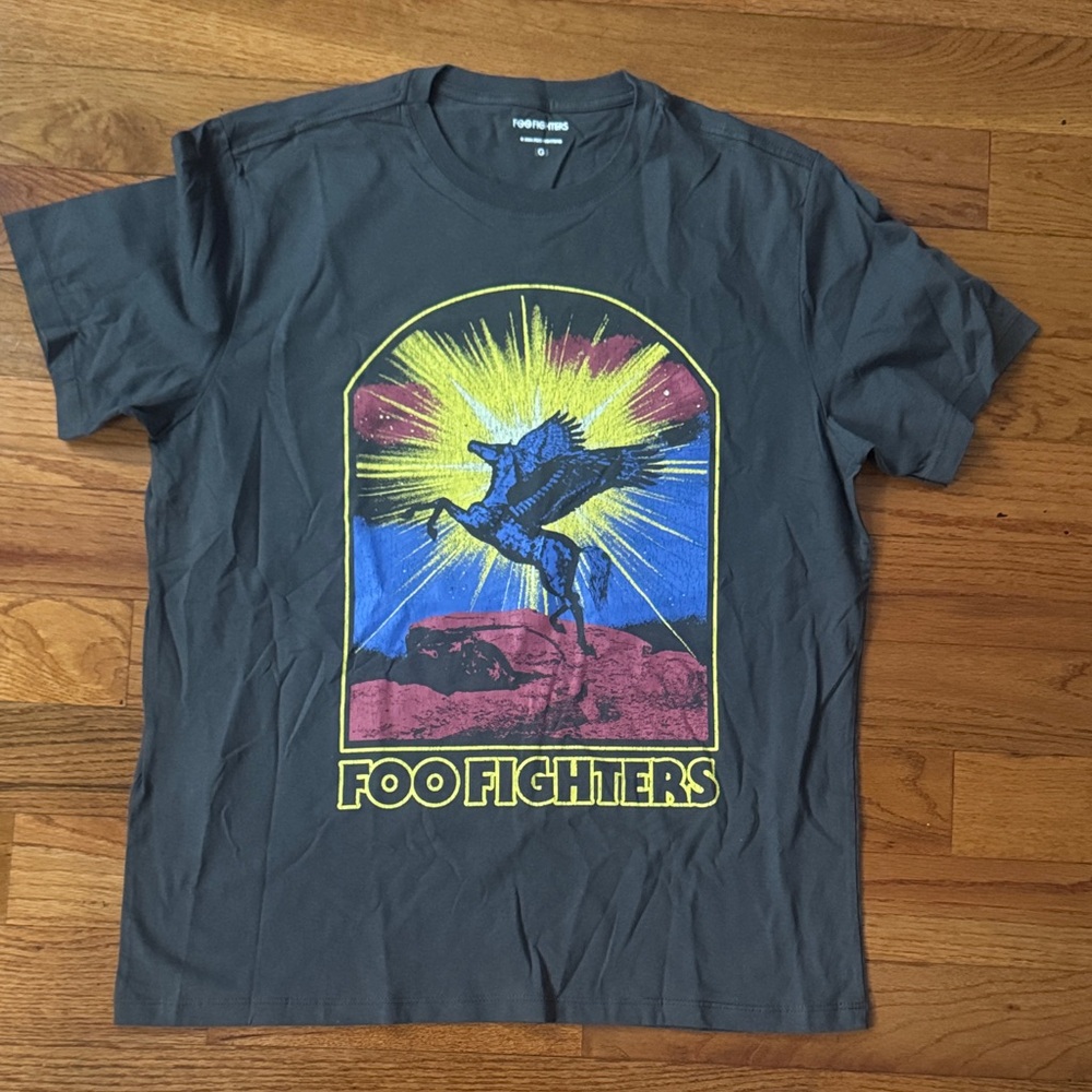 Foo fighters Graphic Tee - Dark Gray, size Large